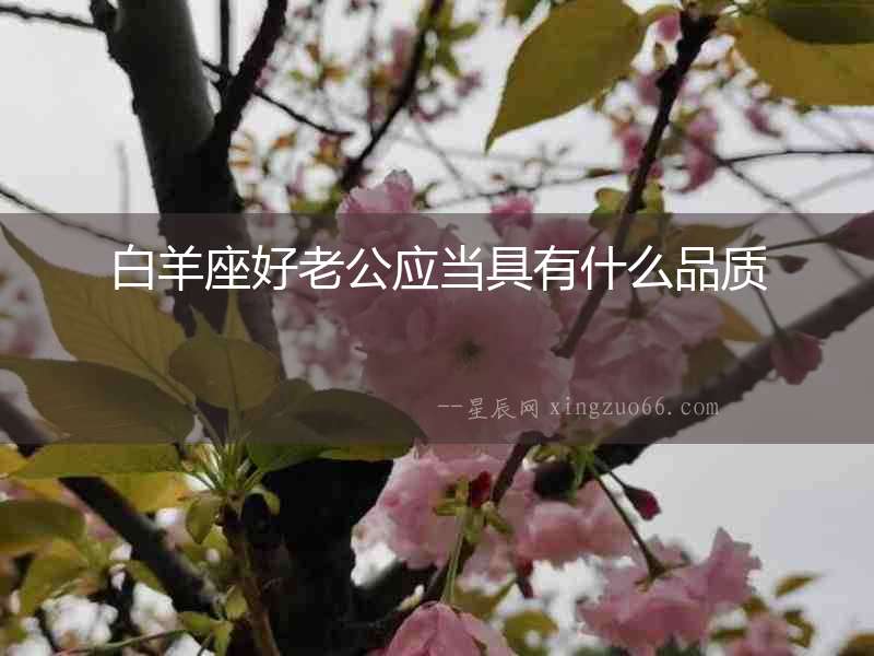 白羊座好老公應當具有什么品質
