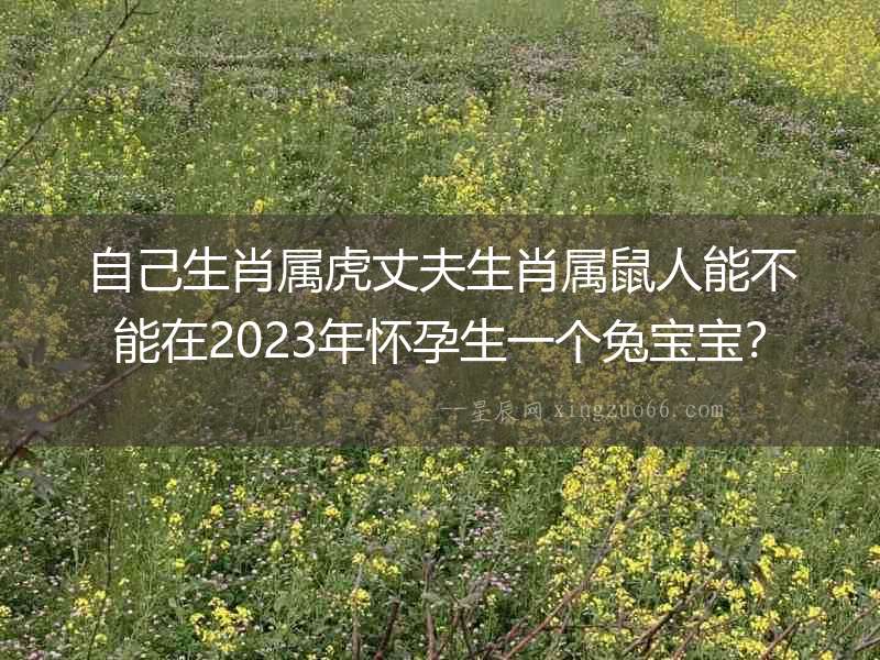 自己生肖屬虎丈夫生肖屬鼠人能不能在2023年懷孕生一個兔寶寶？
