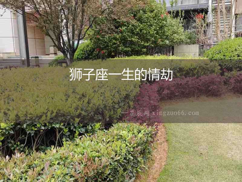 獅子座一生的情劫