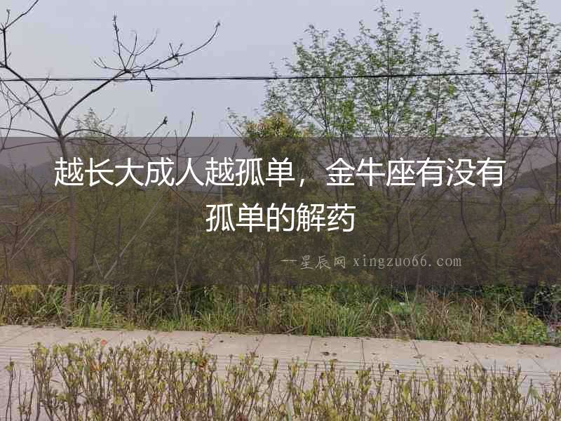 越長大成人越孤單，金牛座有沒有孤單的解藥
