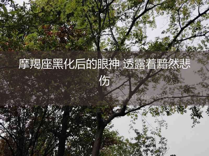 摩羯座黑化后的眼神 透露著黯然悲傷