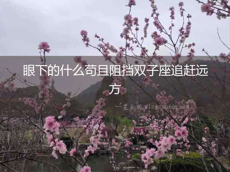 眼下的什么茍且阻擋雙子座追趕遠方