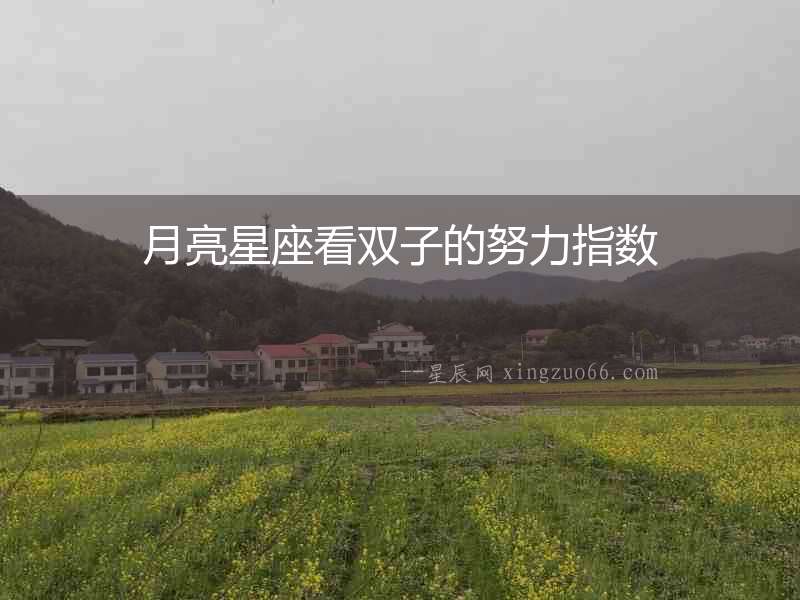 月亮星座看雙子的努力指數(shù)