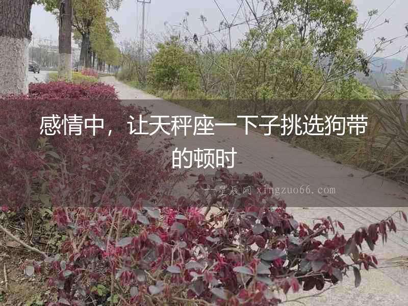感情中，讓天秤座一下子挑選狗帶的頓時