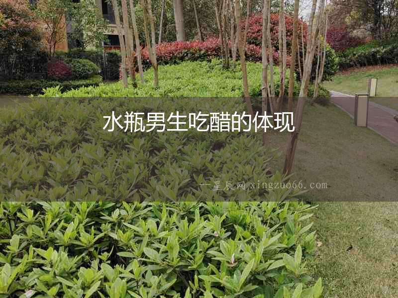 水瓶男生吃醋的體現