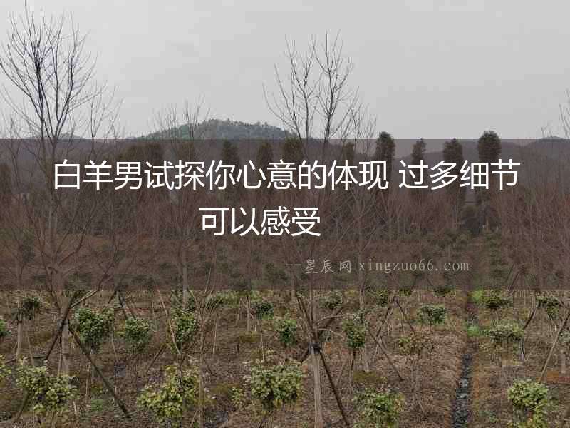 白羊男試探你心意的體現 過多細節可以感受  　　