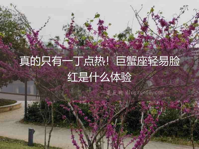 真的只有一丁點熱！巨蟹座輕易臉紅是什么體驗