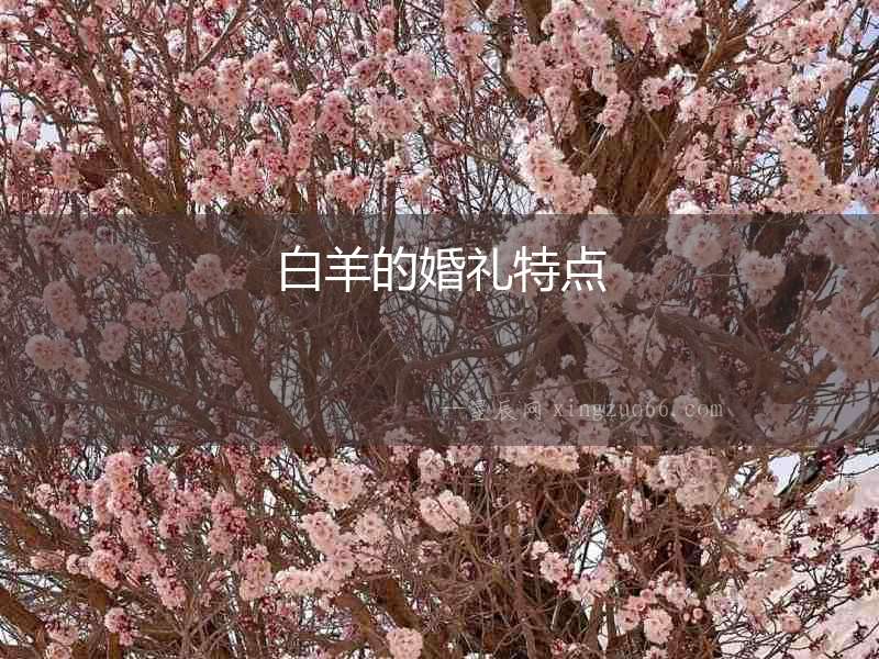 白羊的婚禮特點