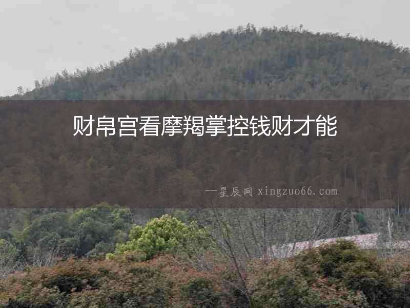 財帛宮看摩羯掌控錢財才能