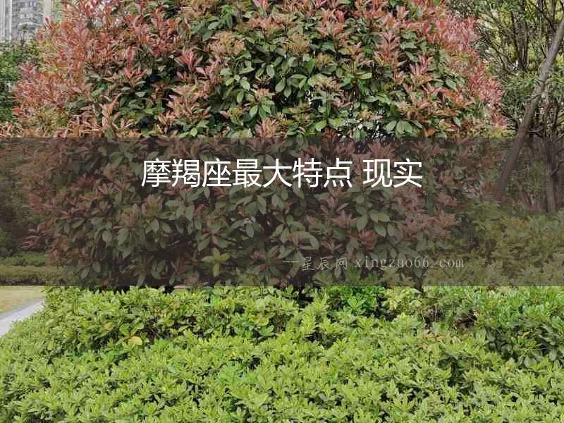 摩羯座最大特點 現實