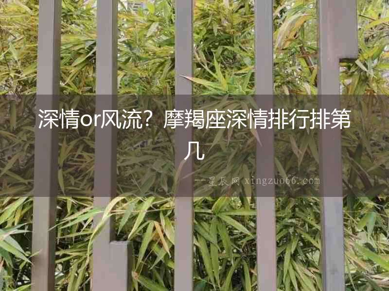 深情or風流？摩羯座深情排行排第幾