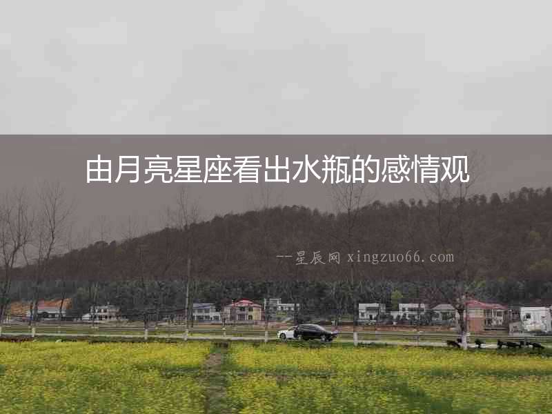 由月亮星座看出水瓶的感情觀