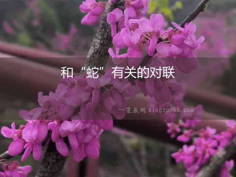 和“蛇”有關(guān)的對聯(lián)