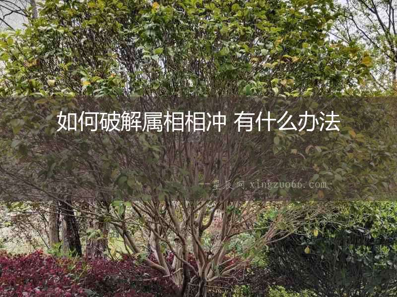 如何破解屬相相沖 有什么辦法