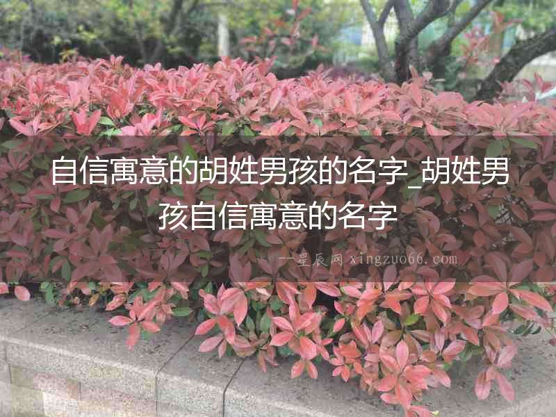 自信寓意的胡姓男孩的名字_胡姓男孩自信寓意的名字