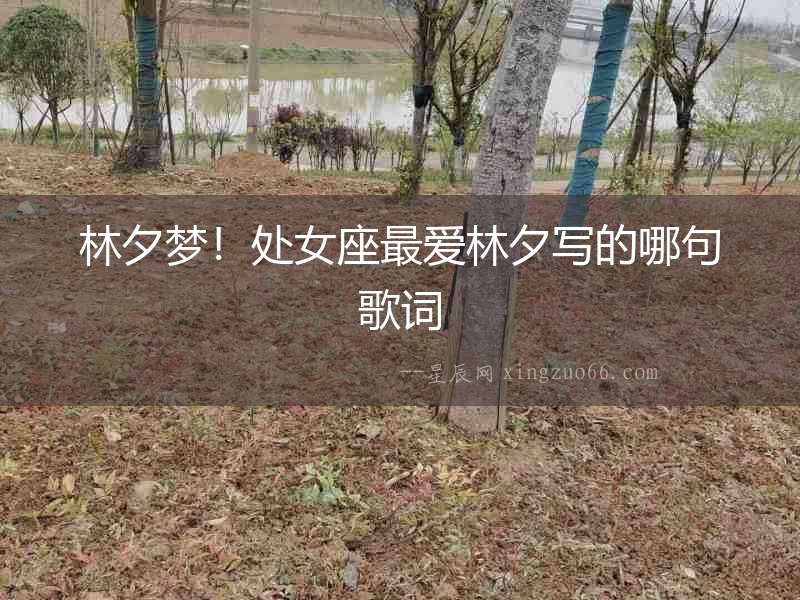 林夕夢！處女座最愛林夕寫的哪句歌詞