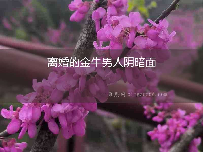 離婚的金牛男人陰暗面