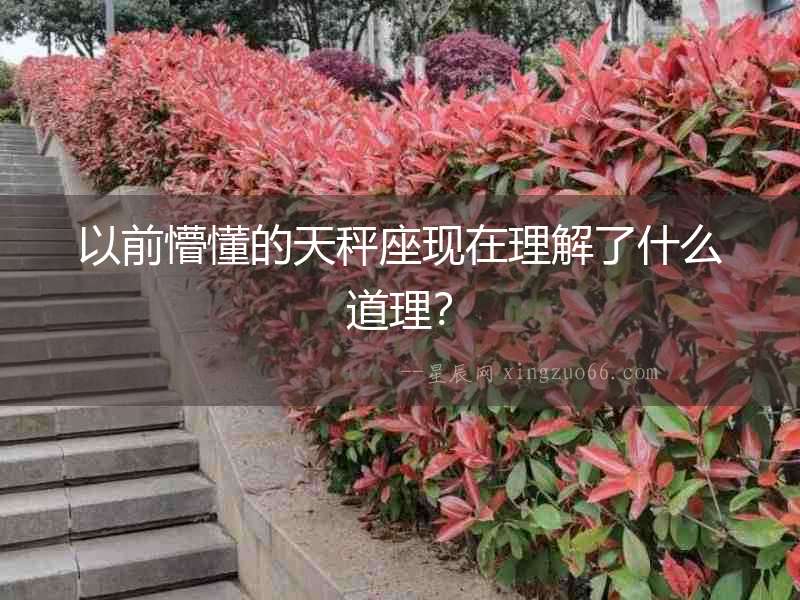 以前懵懂的天秤座現在理解了什么道理？