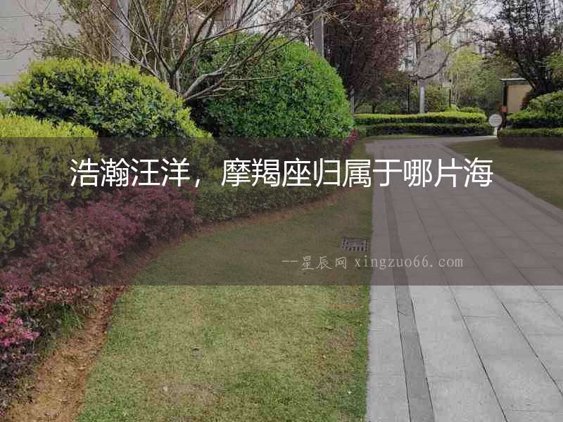 浩瀚汪洋，摩羯座歸屬于哪片海