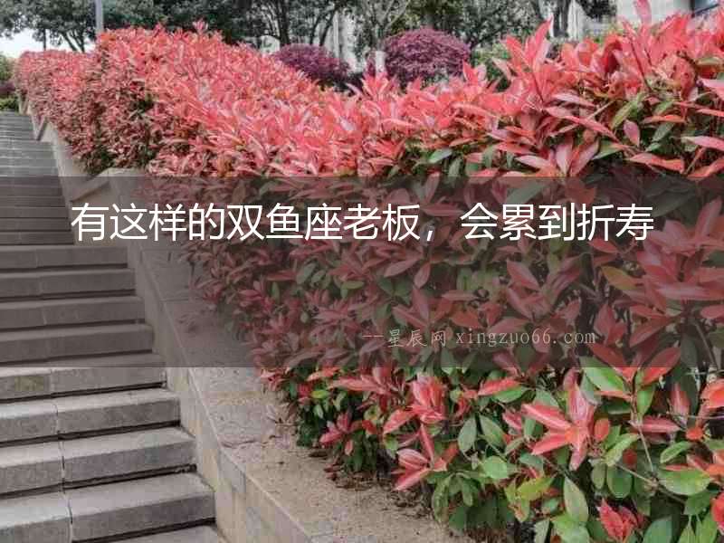 有這樣的雙魚座老板，會累到折壽