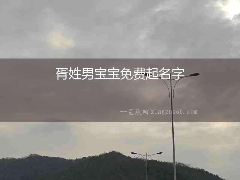 胥姓男寶寶免費起名字
