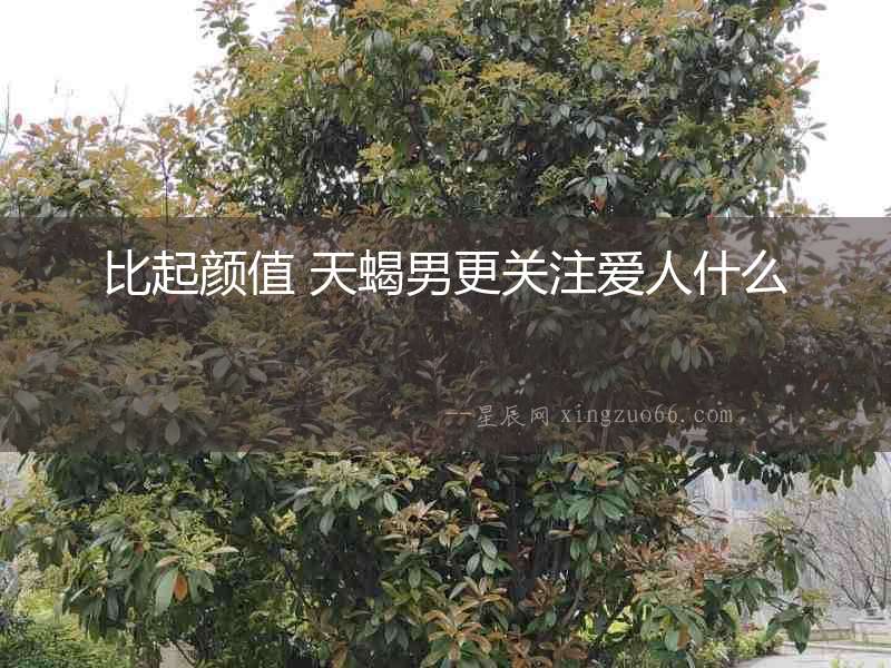 比起顏值 天蝎男更關注愛人什么