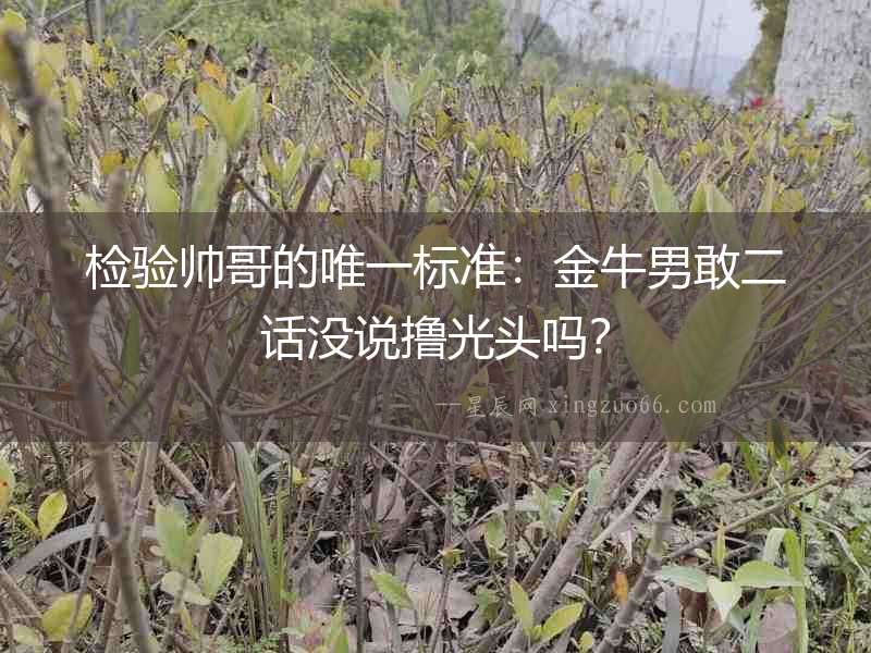 檢驗(yàn)帥哥的唯一標(biāo)準(zhǔn)：金牛男敢二話沒說(shuō)擼光頭嗎？