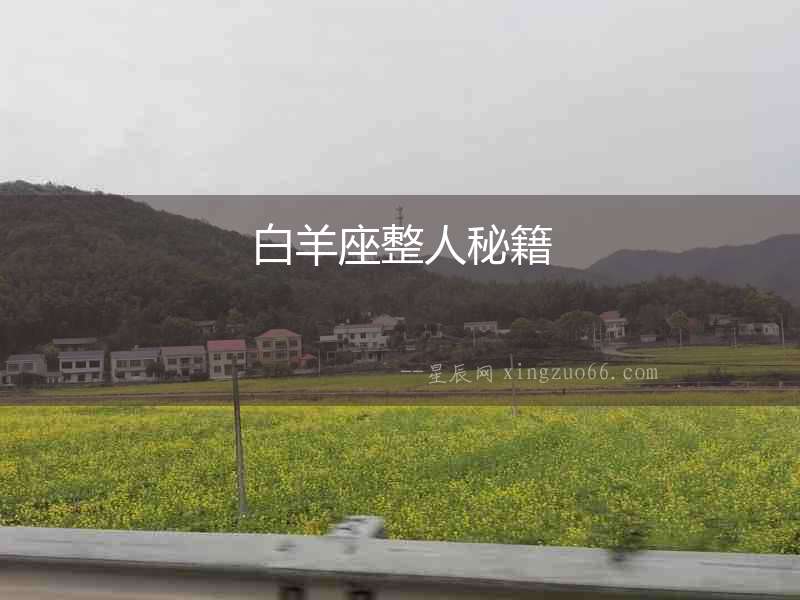 白羊座整人秘籍