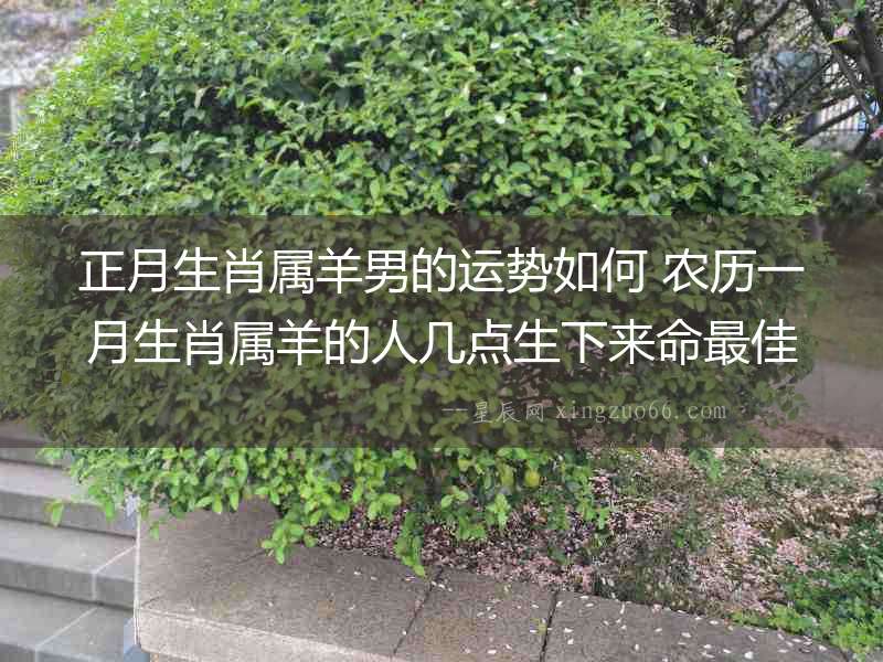 正月生肖屬羊男的運勢如何 農歷一月生肖屬羊的人幾點生下來命最佳