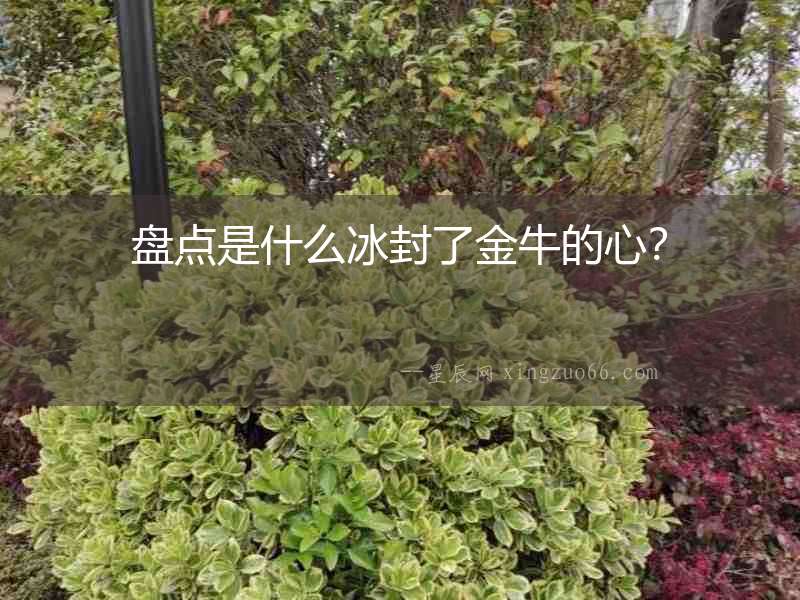 盤點是什么冰封了金牛的心？