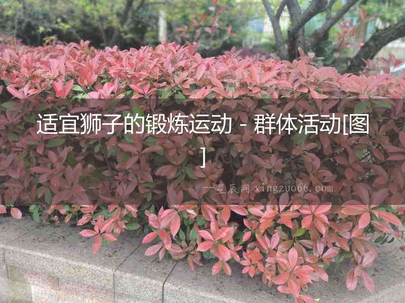 適宜獅子的鍛煉運(yùn)動(dòng)－群體活動(dòng)[圖]