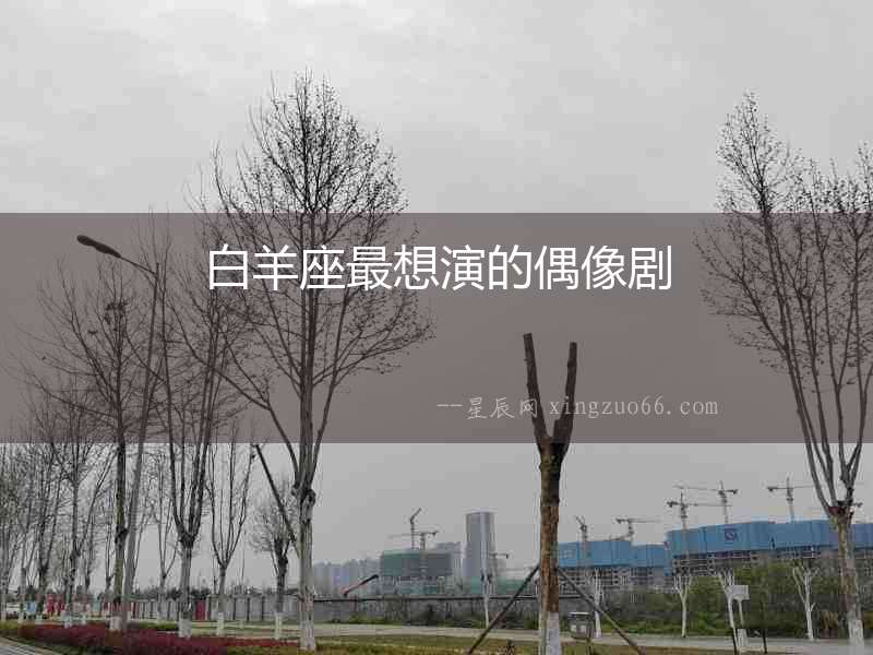 白羊座最想演的偶像劇