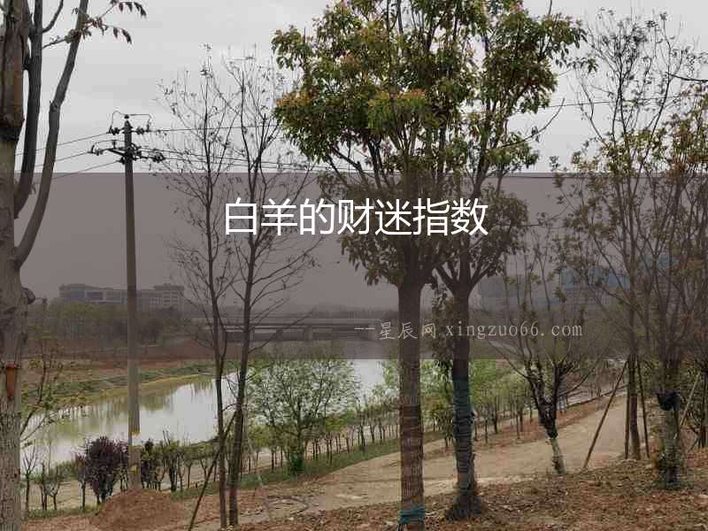 白羊的財迷指數