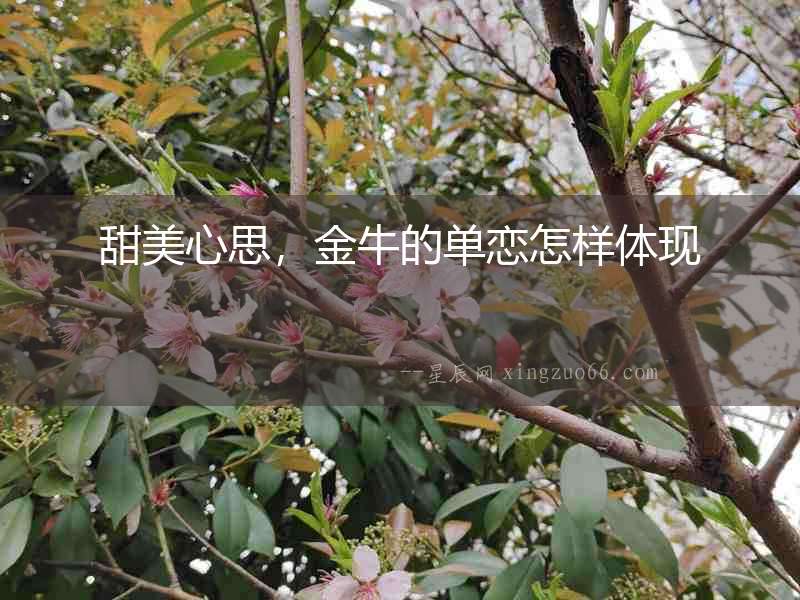 甜美心思，金牛的單戀怎樣體現