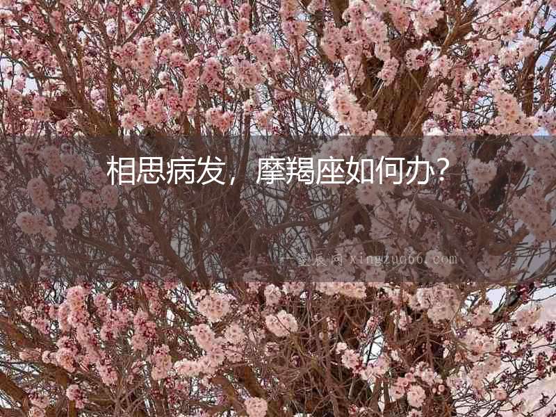 相思病發，摩羯座如何辦？
