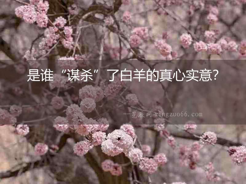 是誰“謀殺”了白羊的真心實意？
