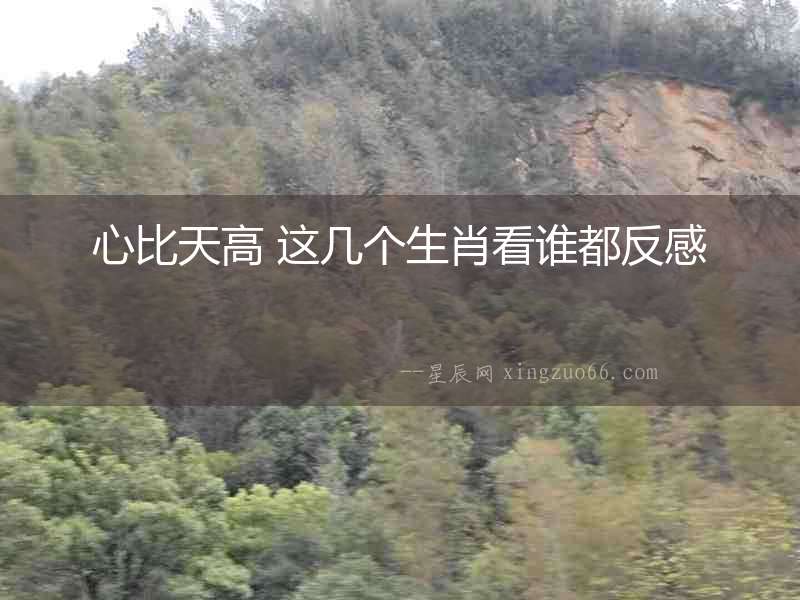 心比天高 這幾個生肖看誰都反感