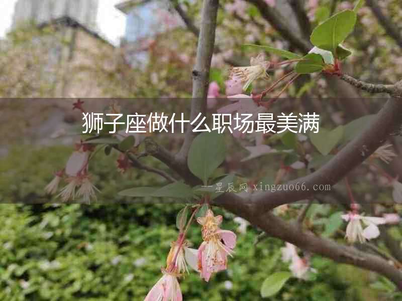 獅子座做什么職場最美滿