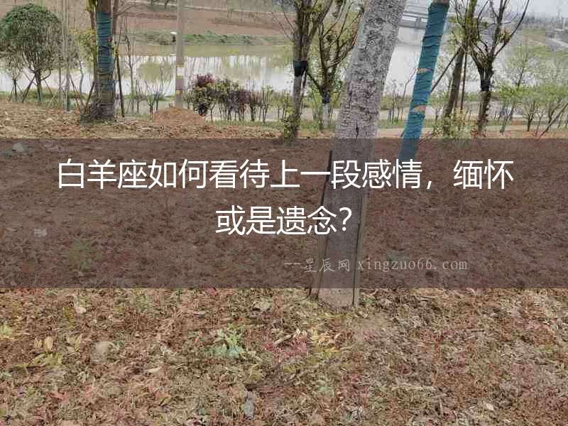 白羊座如何看待上一段感情，緬懷或是遺念？
