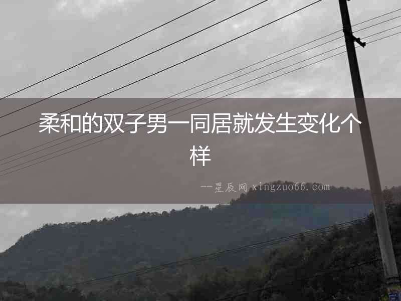 柔和的雙子男一同居就發生變化個樣