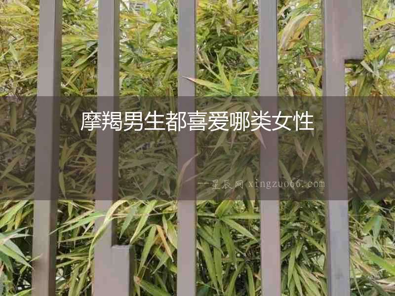 摩羯男生都喜愛哪類女性