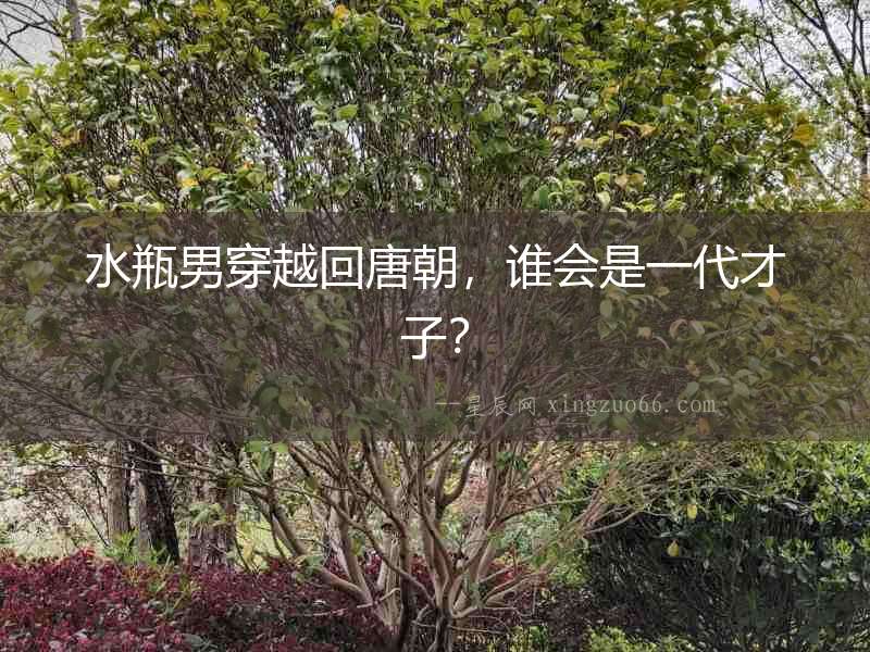 水瓶男穿越回唐朝，誰會是一代才子？