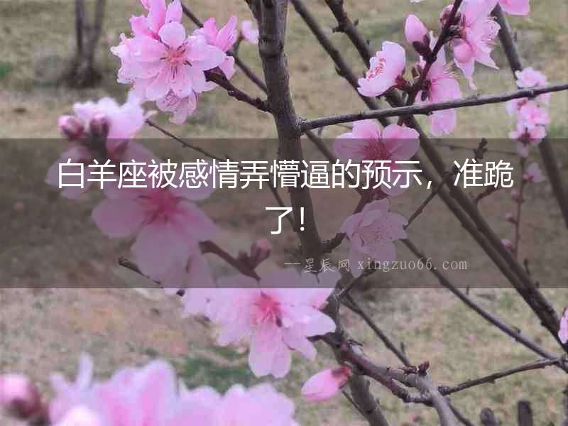 白羊座被感情弄懵逼的預示，準跪了！