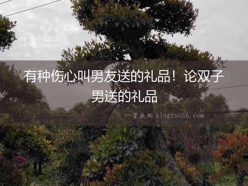 有種傷心叫男友送的禮品！論雙子男送的禮品