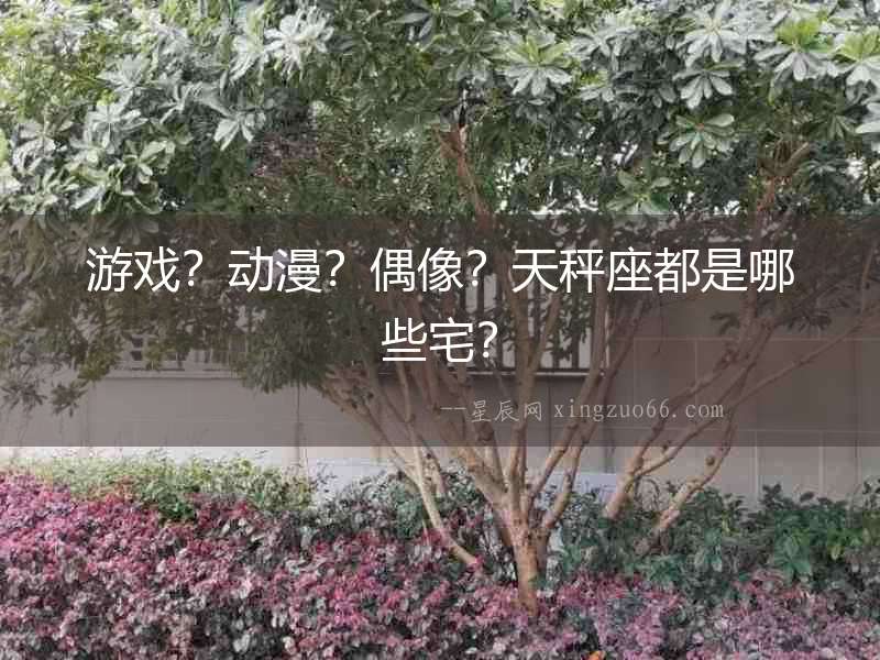游戲？動漫？偶像？天秤座都是哪些宅？