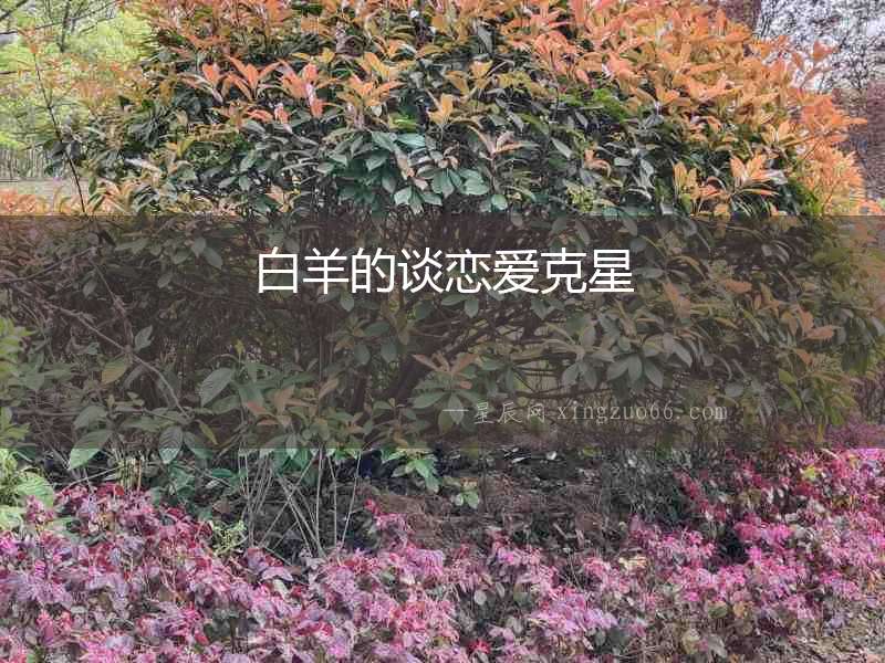 白羊的談戀愛克星
