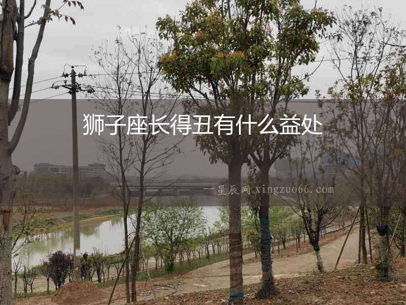 獅子座長得丑有什么益處