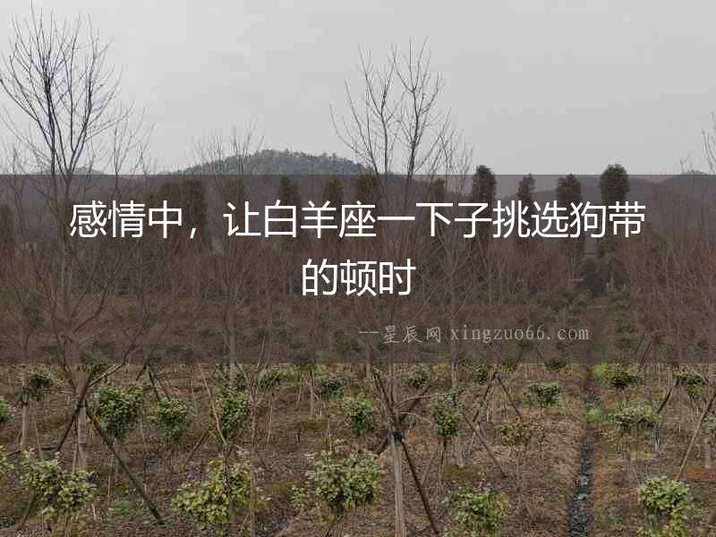 感情中，讓白羊座一下子挑選狗帶的頓時(shí)