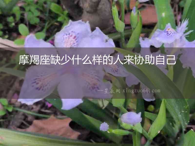 摩羯座缺少什么樣的人來協助自己