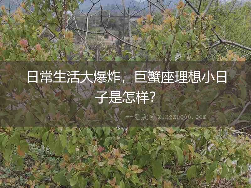 日常生活大爆炸，巨蟹座理想小日子是怎樣？